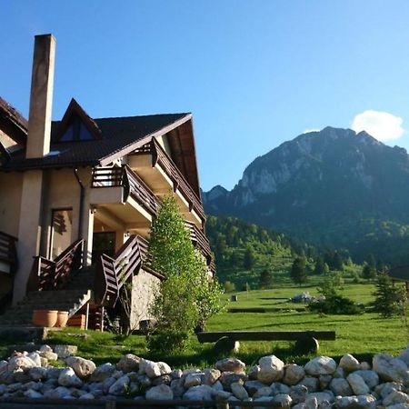 Taverna Pietrei Craiului Zărneşti Esterno foto